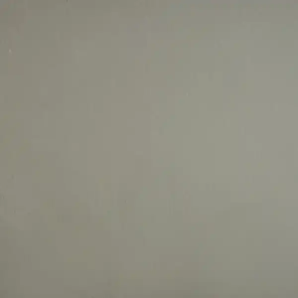 阿泥吉 ISAT-2011-1 銀光灰 色樣