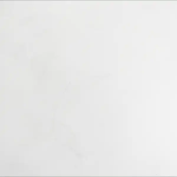 阿泥吉 ISAT-2011-26 純淨白（龍紋） 色樣