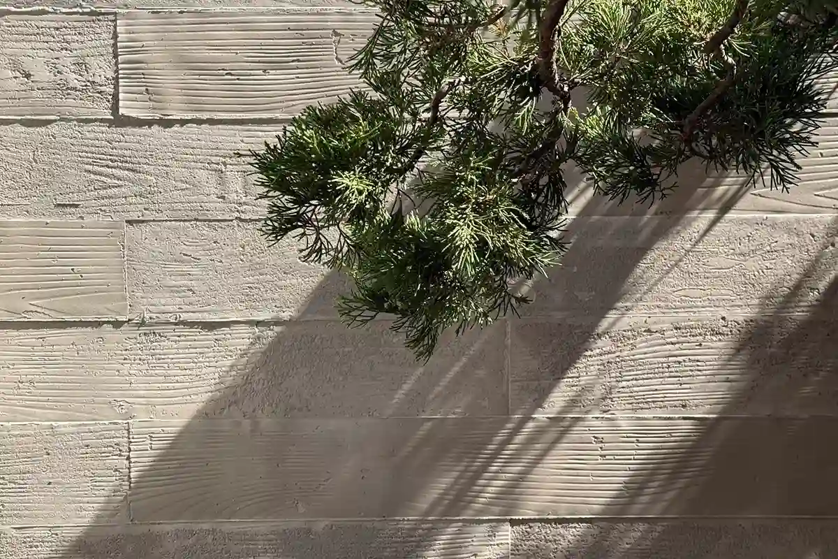 木紋拓印清水模牆面,呈現橫向木板紋理與板縫